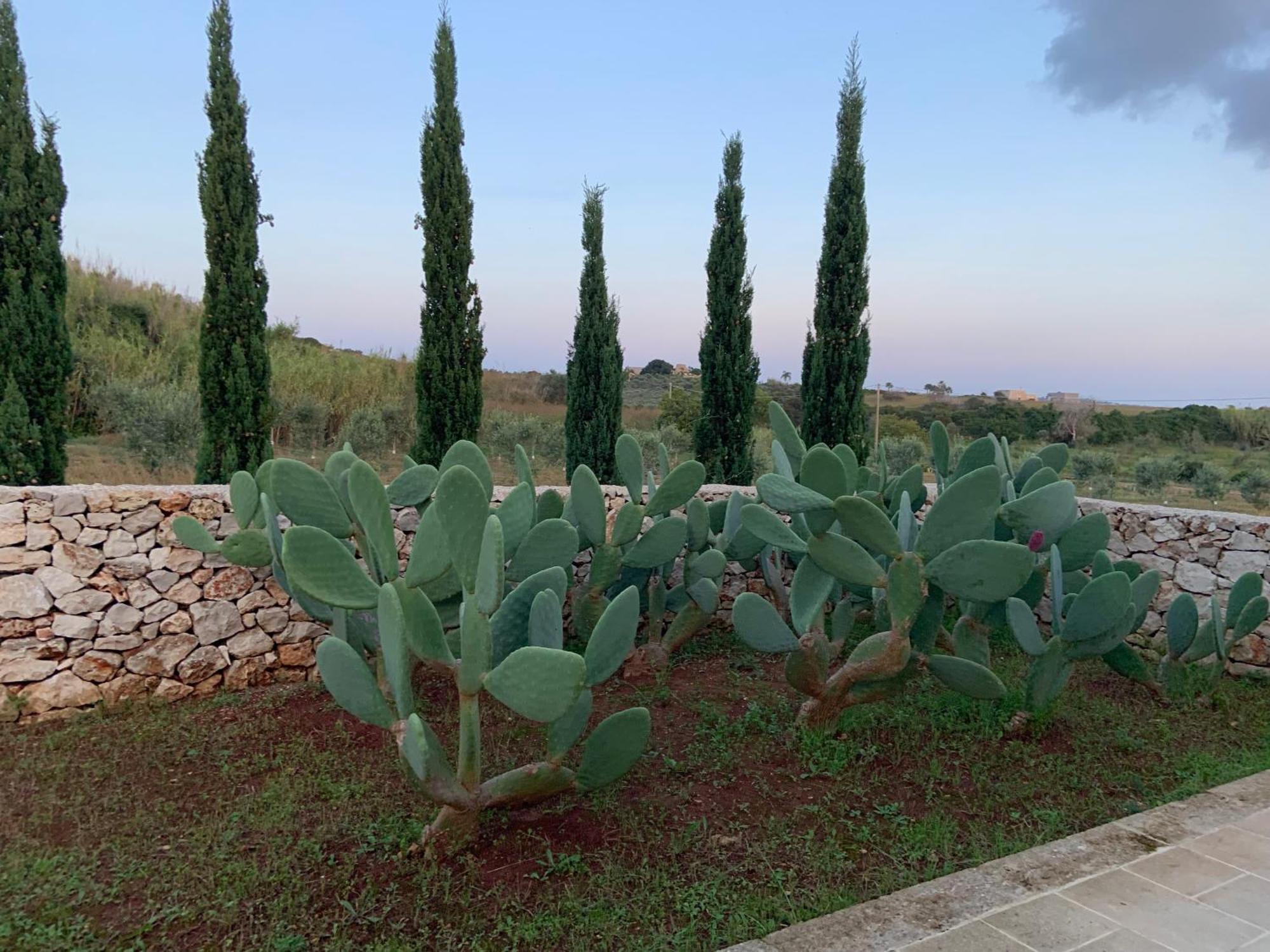 Relais Masseria Sant'Antonio Марина ди Песколусе Екстериор снимка